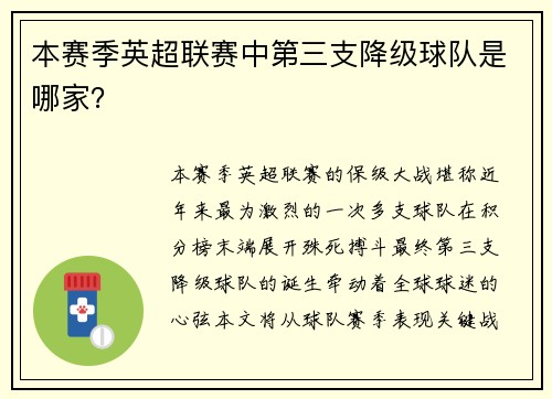 本赛季英超联赛中第三支降级球队是哪家？